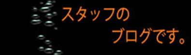 スタッフブログ